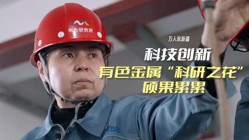 数据服务安装参数设置：关键步骤与注意事项